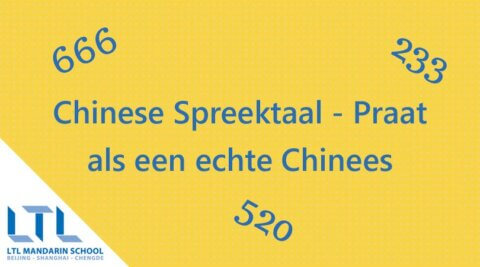 Chinese Spreektaal: praat als een echte Chinees Thumbnail
